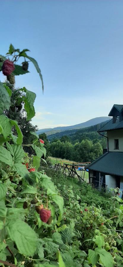 Willa Monte Neve Stronie Śląskie Exteriér fotografie